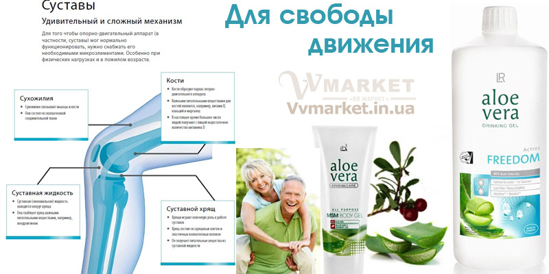 Купить Алоэ Вера MSM гель для тела (Aloe Vera MSM body gel), 200 мл, LR с доставкой Киев, Одесса, Харьков, Днепропетровск, Львов, Кременчуг, Запорожье, Кривой Рог,  Борисполь, Боровая, Бородянка, Борщев, Боярка,Новоазовск,  Бровары, Заречное, Брусилов, Новая Ушица, Броды, Измаил, Новгород-Северский, Новгородка, Заставна, Новоайдар, Прилуки, Приморск, Изюм, Тульчин, Турийск, Турка, Умань, Тячев, Ужгород, Хмельницкий, Хорол, Славута, Хотин, Славутич, Жашков, Христиновка, Фастов, Желтые Воды, Хуст, Жидачев, Житомир,  Украинка, Жмеринка, Харичанка, вся Украина
